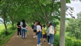밤에 만나는 화포천습지 생태공부