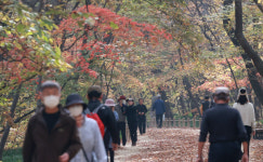 함양 상림공원 가을 정취