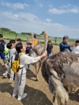 타조 만나 생명 존중 중요성 일깨웠죠