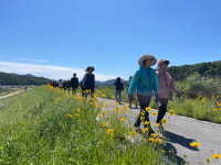 합천군 쌍책면, 면민 건강걷기대회 300명 참가