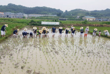 함안화천농악 통해 농경문화 제대로 느껴요