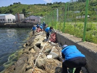 금강노인종합복지관, 마산만 비치코밍 활동