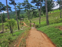 산청 치유의 숲 산책길 힐링 장소 각광