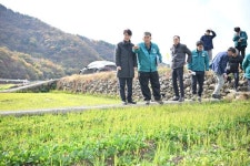 남해 시금치 습해 피해 농업재해 인정을