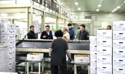 고성군 농업기술센터, 농산물 수출 분야 점검