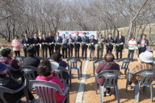 진해 웅동수원지 벚꽃단지 57년 만에 개방