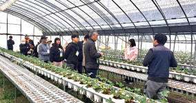 브레드 팜(Bread Farm) 빵농장고성점 | 고성군, 귀농귀촌 팜 투어 진행