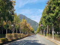 김해 도심지 바람길숲 들어선다