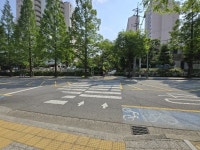 김해 월산중 인근 횡단보도 신호등 설치해야