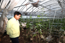 집중호우 피해 응급 복구서 항구 복구로 전환