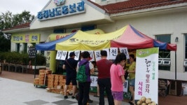 당진시 영양 만점 맛있는 양파 사세요