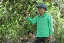 농산물 무농약 재배농가 화제