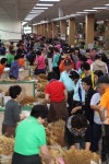 금산인삼축제로 힐링여행 떠나자
