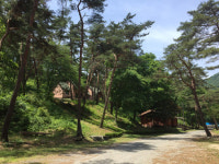 만수산자연휴양림 손님맞이 준비 완료