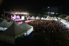 당진, 심훈상록문화제 성료