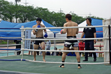 세종시 격투축제 SJFC 최강자전 팡파르