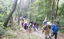 내포문화숲길 걸으며 자연·문화 즐겨요