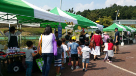 금산알참시장 성황