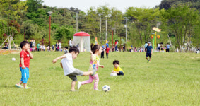 숲길따라 건강한 발걸음, 함께 걸으며 힐링해요