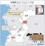 구제역 충북 이어 전북까지 확산