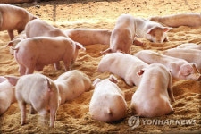 내포신도시 축사 악취제거 돈분 수거방식 추진에 관심