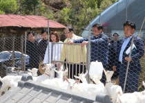 이석화 청양군수, 새 농법 영농현장 방문
