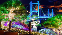 대전 효문화뿌리축제 구경오세요