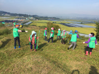 부여군 남면 새마을협의회, 추석맞이 무연고 묘 벌초