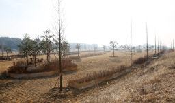 서산 청지천, 자연친화적 명품 하천으로 거듭난다