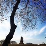 [에뜨랑제의 SNS미술관] 익산 - 바람의 나라, 백제