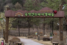 가정의 달 어디로 갈까? 가족과 함께 떠나는 여행 코스·맛집 6선 ②강원도 홍천