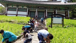 부여 마정초 우리 고장 문화재 내손으로 가꿔요