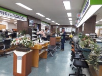 서천군 민원실 철쭉 꽃향기 한가득!