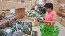 공주 우성농협 로컬푸드직매장, 먹거리 풍성 발길 북적