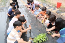 부여 백제초 우리 학교에도 텃밭이 생겼어요
