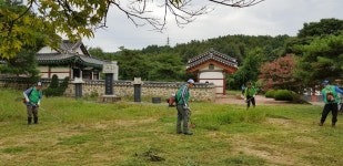 부여군 충화면 새마을협의회, 문화재 주변 환경정비
