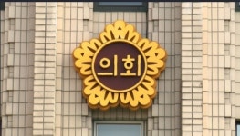 지방의회의원 월정수당, 지자체에서 자율적 결정