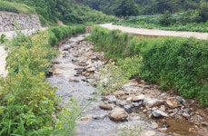 세종시, 소하천 정비사업 71억 투입