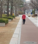 최악의 미세먼지 뒤덮인 대전... 밖에 나가기 두렵다