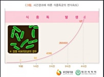 천안키즈급식 특판대리점 | 천안시, 급식 김치류 식중독균 검사 나선다