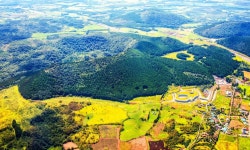 1년에 열흘간 열리는 비밀의 원시림, 제주 거문오름 용암길