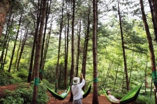 올여름 6만여명, 산림복지시설서 다양한 체험 즐겨