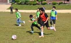보령 송학초, 소규모학교 공동교육과정 축구대회