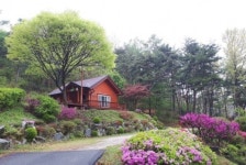 예산군 신종 코로나바이러스 확산 예방대책 추진