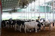 홍성군, 낙농업시설 현대화 1억 3500만원 지원