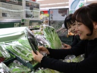 롯데마트, 산지뚝심 프로젝트 추진