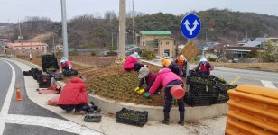  아산 인주면 쾌적한 인주만들기 사업 실시