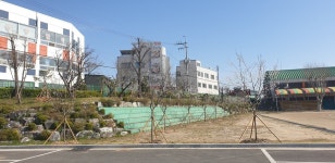 아산시, 온양온천초와 나무심기운동 전개