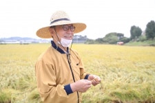 천안시, 올해 첫 벼 베기…수확의 기쁨 만끽