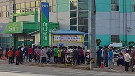 태안농협 하나로마트,금값배추,깜짝 세일주민들,장사진